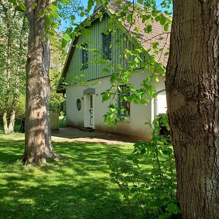 Apartment Strandperlen Weidenhof 8 A